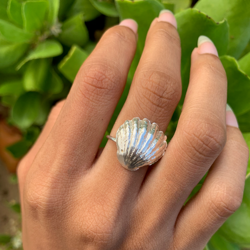 Sunrise Shell Ring (Sterling Silver)