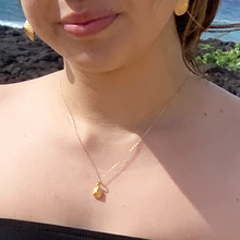 'Opihi Necklace Small Hawaiian Shell Necklace (14k Gold over Sterling Silver)