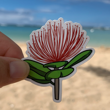 Ōhi`a Lehua Sticker