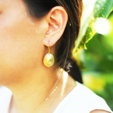 Opihi Earrings, Hawaiian Shell Earrings (14k Gold over Sterling Silver) - Debby Sato Designs