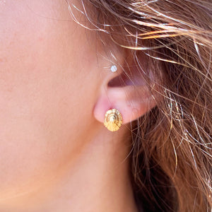 'Opihi Stud Earrings  (14k gold over Sterling Silver)