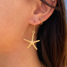 Starfish Earrings (14k Gold Over Sterling Silver) - Debby Sato Designs