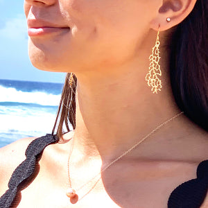Fan Coral Earrings (14k Gold over Sterling Silver) - Debby Sato Designs