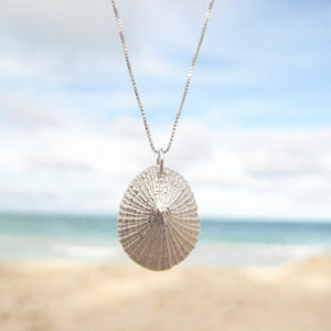 Opihi Necklace, Medium Hawaiian Shell Necklace (Sterling Silver) - Debby Sato Designs