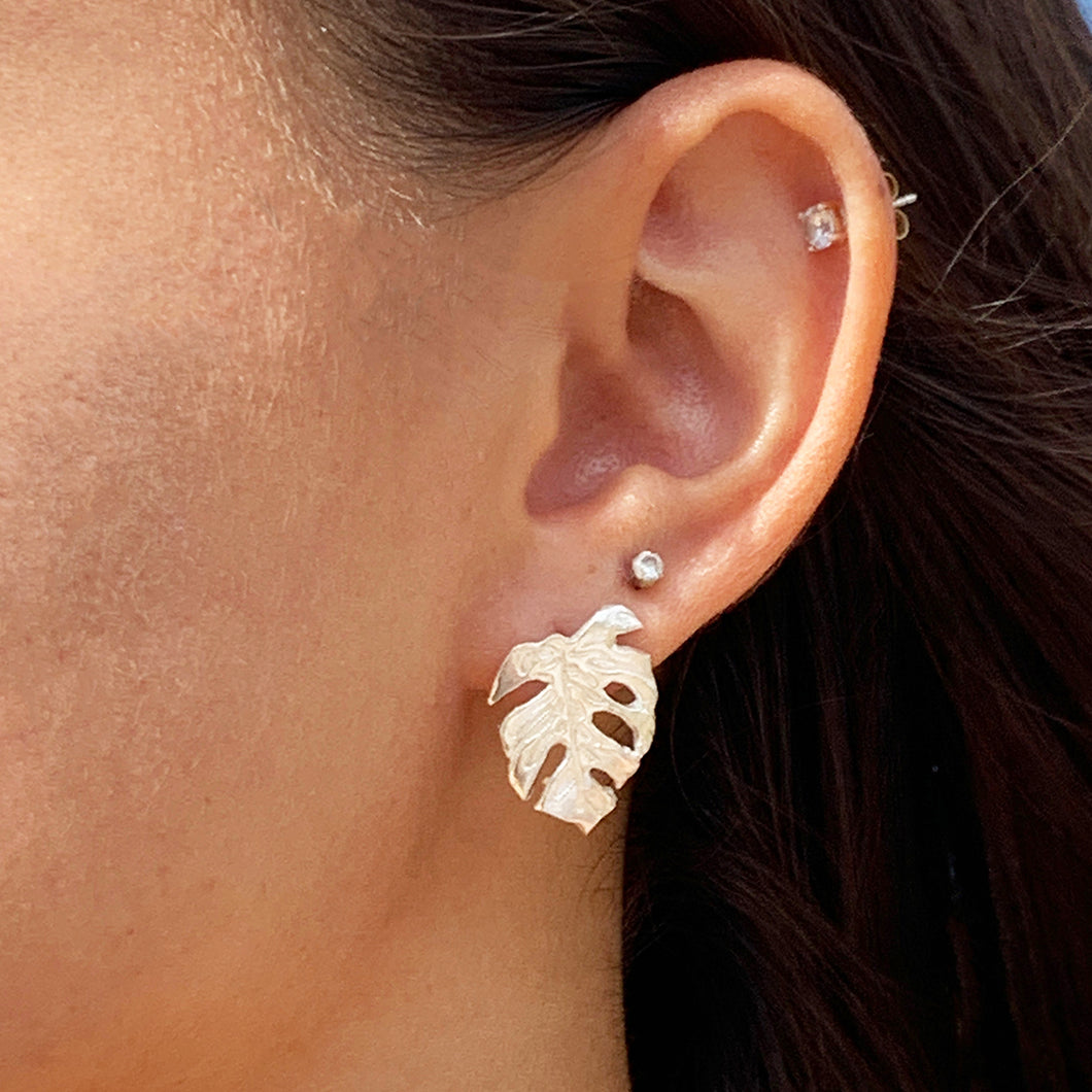 Monstera Stud Earrings Medium (Sterling Silver) - Debby Sato Designs