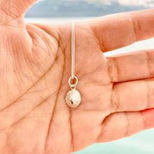 'Opihi Necklace Small Hawaiian Shell Necklace (Sterling Silver)