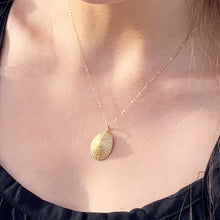 Opihi Necklace, Small Hawaiian Shell Necklace (14k Gold over Sterling Silver) - Debby Sato Designs
