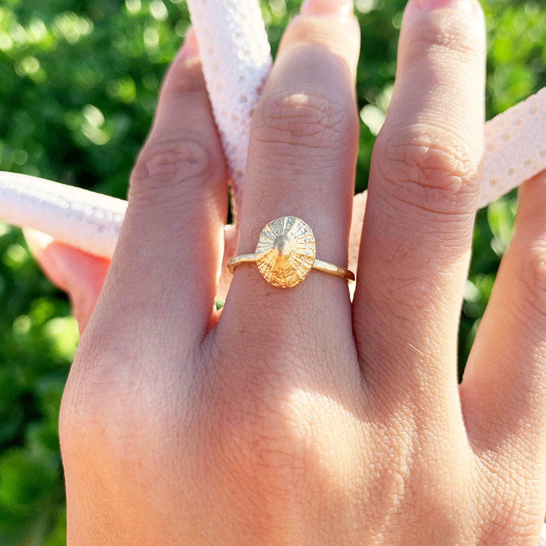 'Opihi Ring Small (14k Gold over Sterling Silver)