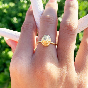 Opihi Ring Small (14k Gold over Sterling Silver) - Debby Sato Designs