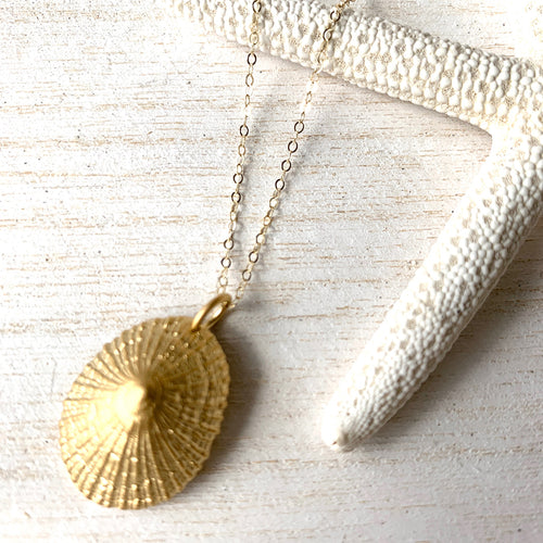 Opihi Necklace, Small Hawaiian Shell Necklace (14k Gold over Sterling Silver) - Debby Sato Designs