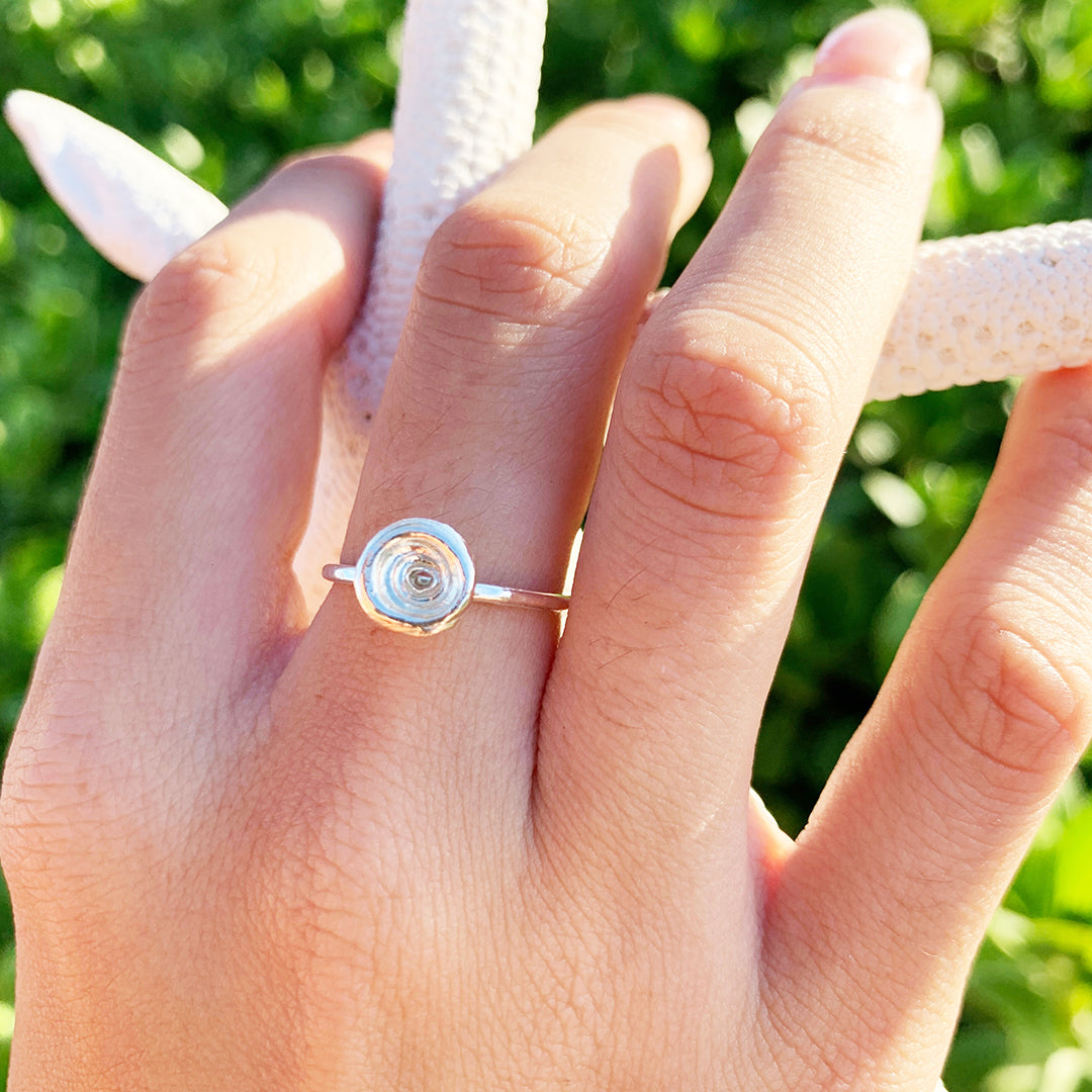 Puka Shell Rings Puka Shell Rings