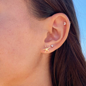 Starfish Studs (14k Gold over Sterling Silver) - Debby Sato Designs