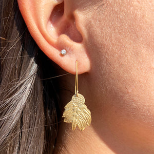 Ulu (Breadfruit) Earrings (14k Gold over Sterling Silver) - Debby Sato Designs