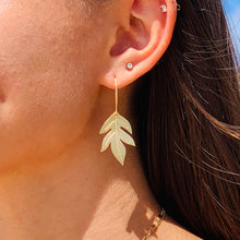 Ulu (Breadfruit) Leaf Earrings (14k Gold over Sterling Silver) - Debby Sato Designs